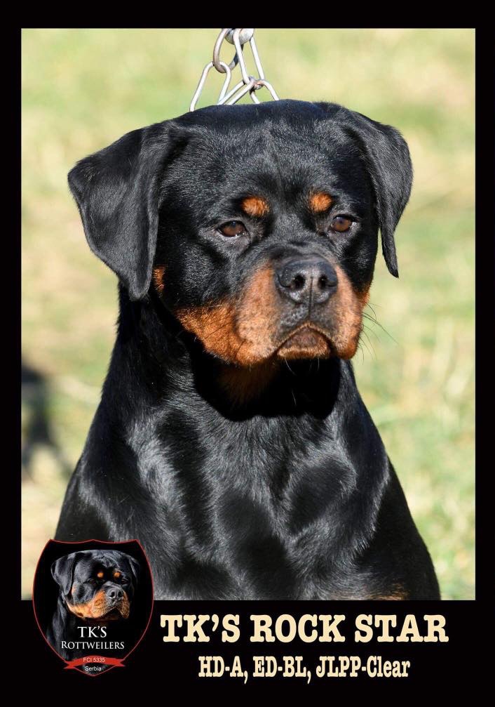 TKʼS ROCK STAR